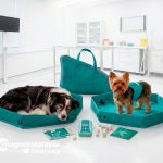 Kit LUMINA 3D-e VET PLUS