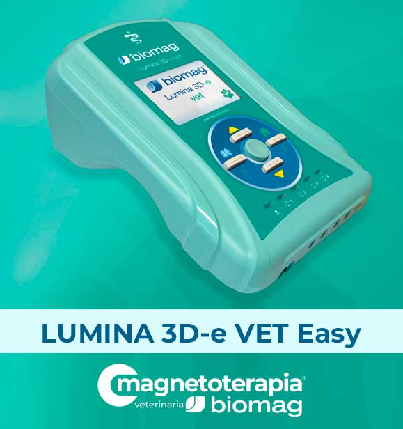 Lumina 3D-e Easy - aparato de magnetoterapia para casa Lumina 3D-e Easy - aparato de magnetoterapia para casa