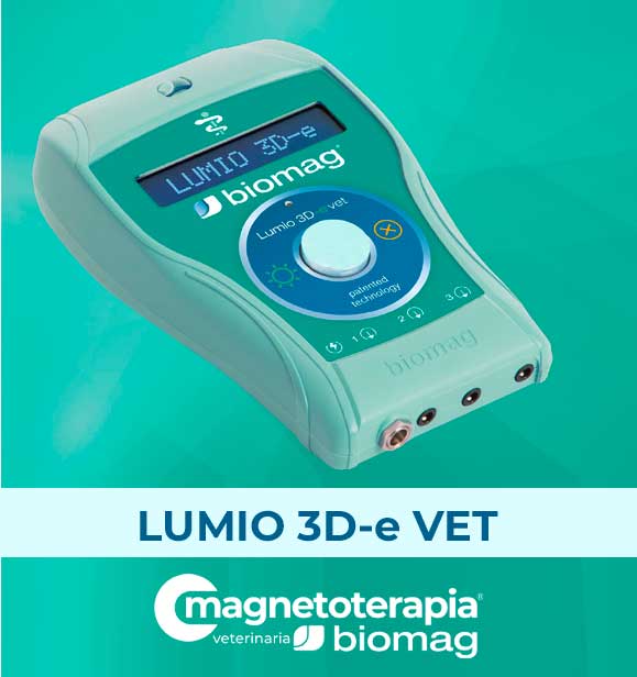 Lumio 3D e VET