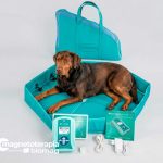 Kit PET CARE MAX 1 Máquinas de magnetoterapia veterinaria
