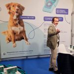 Cerca de ti Magnetoterapia Veterinaria