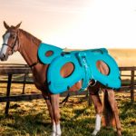 Kit BIOMAG LUMINA VET HORSE TREATMENT ELITE 2 kit biomag lumina 3d vet horse motion care