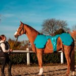 Kit BIOMAG LUMINA 3D-E VET HORSE MOTION CARE 1 kit biomag lumina 3d vethorse treatment elite