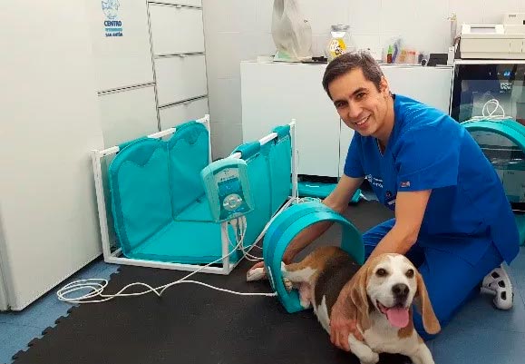 magenetoterapia-veterinaria-aplicadores