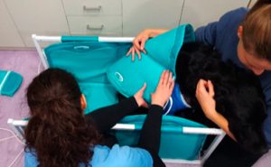 picadura de víbora aplicación de magnetoterapia clínico picadura de víbora aplicación de magnetoterapia clínico